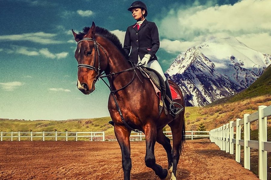 Almaty Horse&Polo Club image