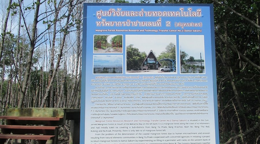 History of the center