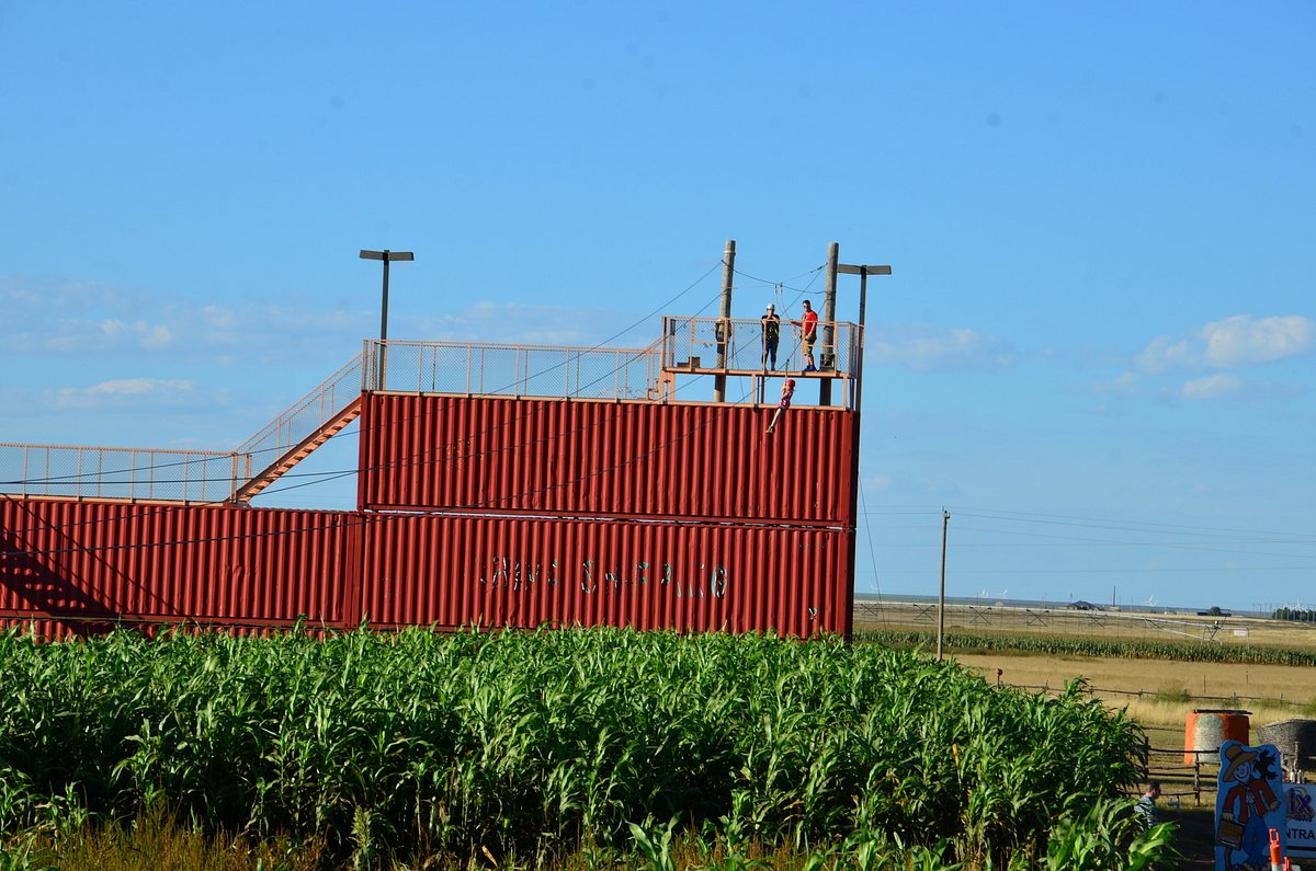 St. Bernard Farms (Clovis) - All You Need to Know BEFORE You Go