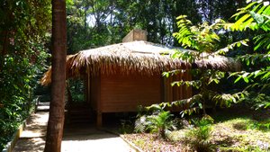 ANAVILHANAS JUNGLE LODGE - Updated 2023 Prices & Reviews (Brazil/AM - Novo  Airao)