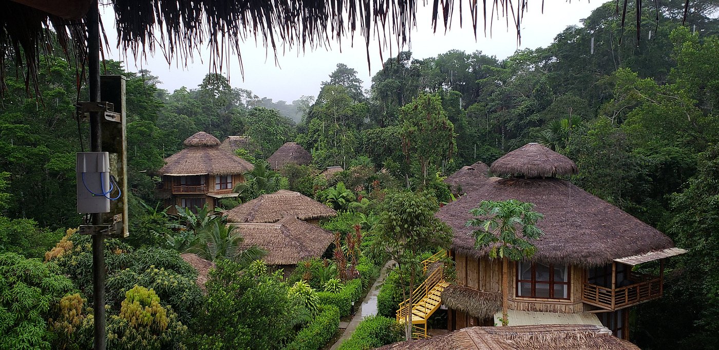 La Selva Amazon Ecolodge And Spa Updated 2022 Prices And Lodge Reviews