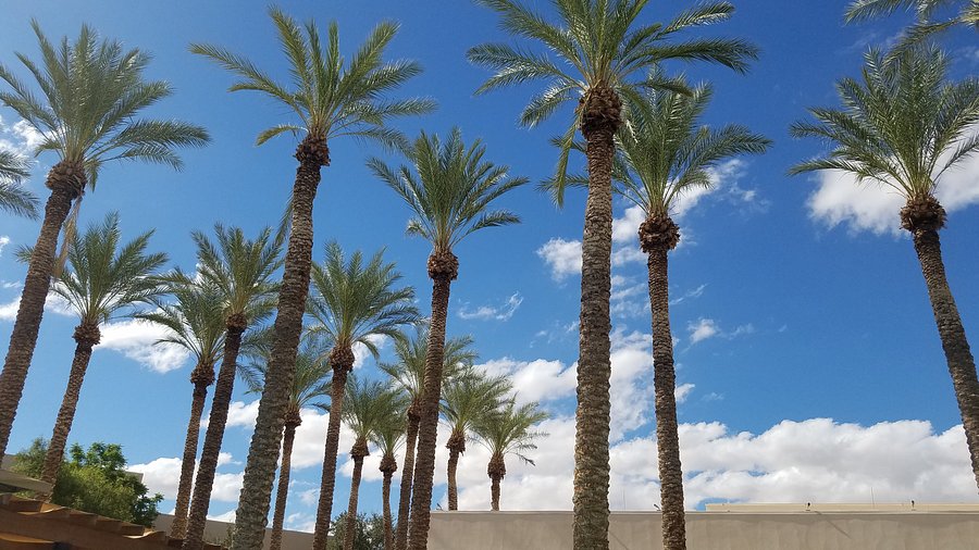Maricopa Maricopa