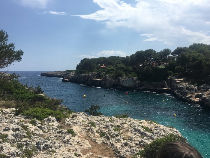Imagen 4 de Playa Cala ,n Forcat
