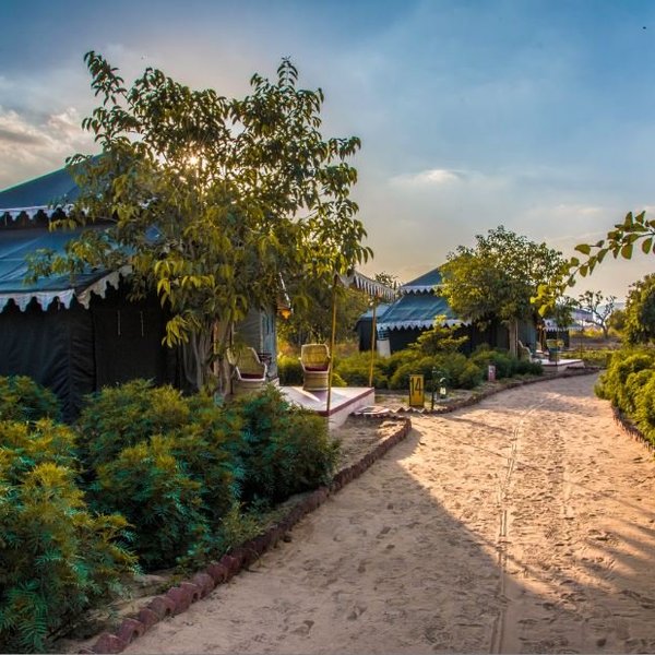 2025년 푸쉬카르 캠핑장 추천 베스트 10 - Tripadvisor 2025년 푸쉬카르 캠핑장 추천 베스트 10  - Tripadvisor