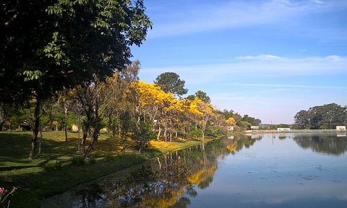 Floradas dos Ipês, torna a área do lago linda e rende ótimas fotos
