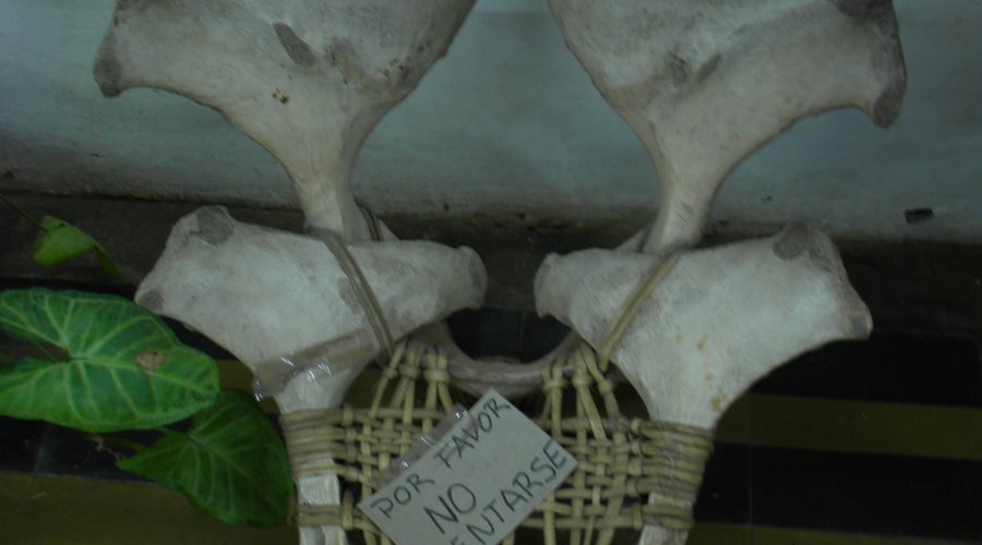 Productos artesanales