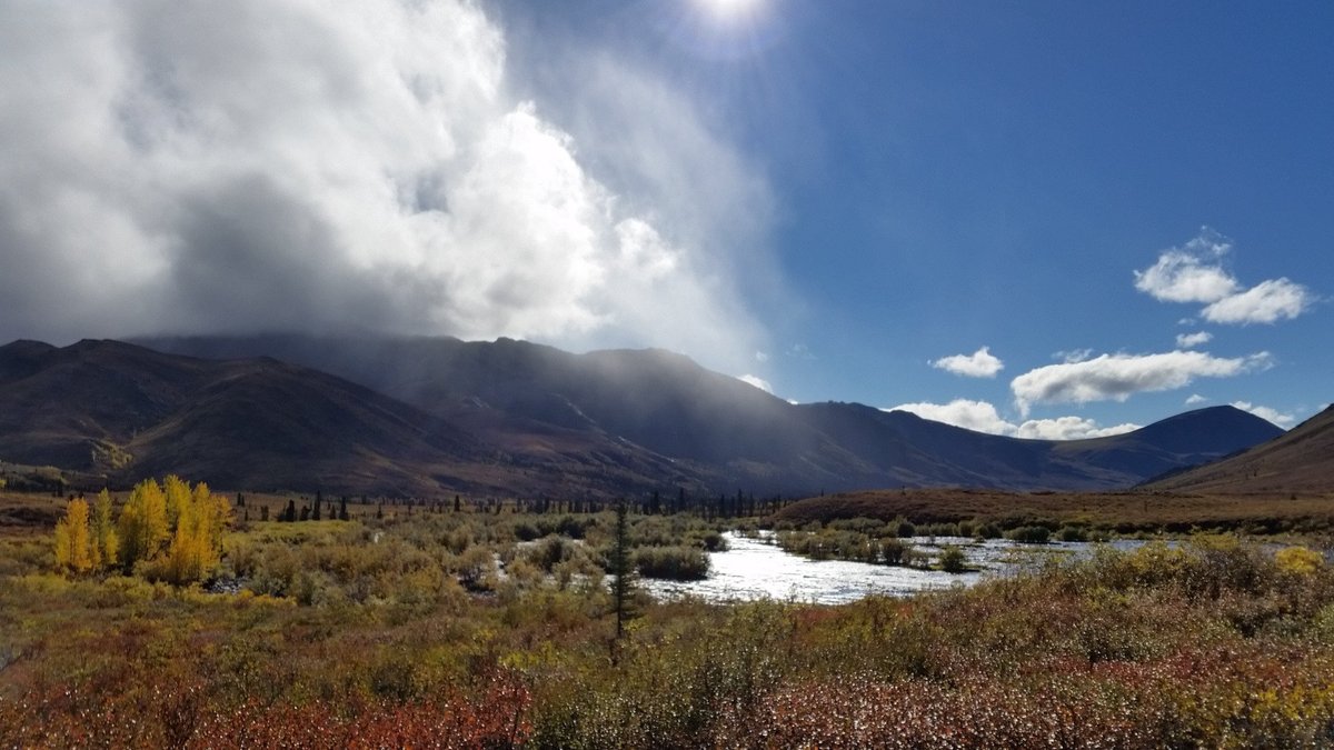 Dempster Highway, Территория Юкон: лучшие советы перед посещением -  Tripadvisor