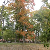 Парк Несвижский