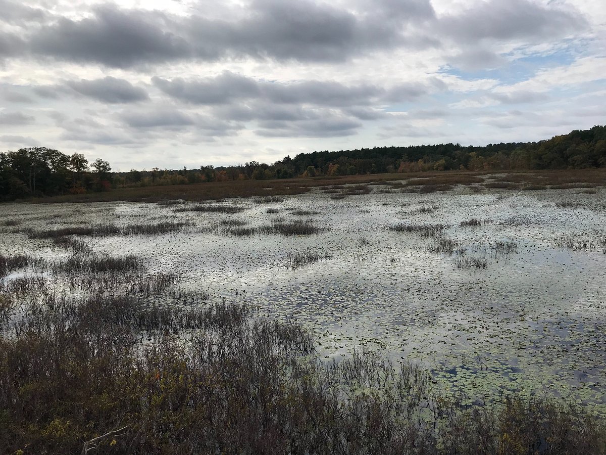 Mass Audubon Ipswich River Wildlife Sanctuary (Topsfield) - All You ...