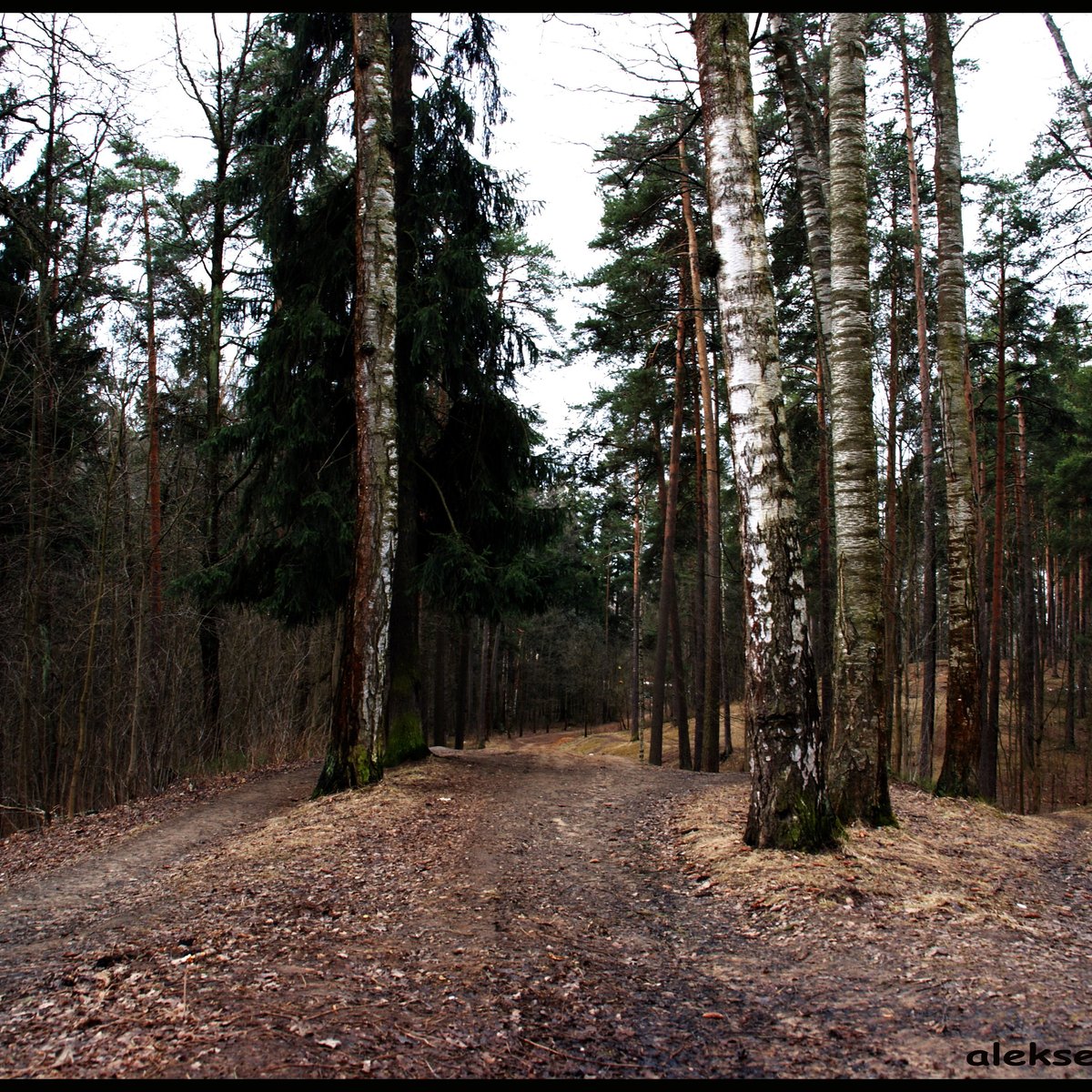 Румболовская гора, Всеволожск - Tripadvisor