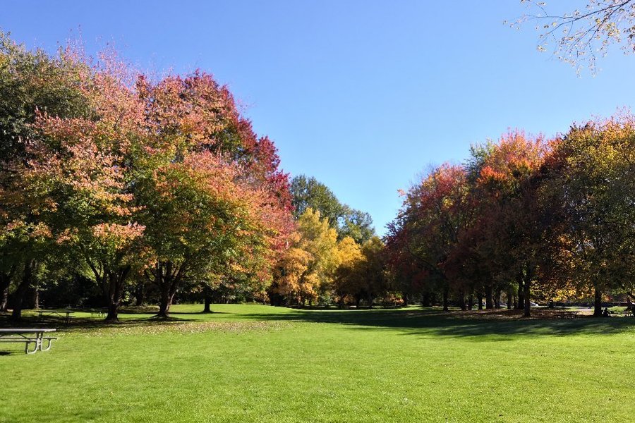 Lake Sammamish State Park image