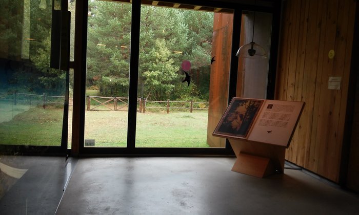Imagen 10 de Casa del Parque de la Laguna Negra