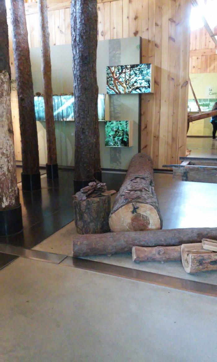 Imagen 9 de Casa del Parque de la Laguna Negra