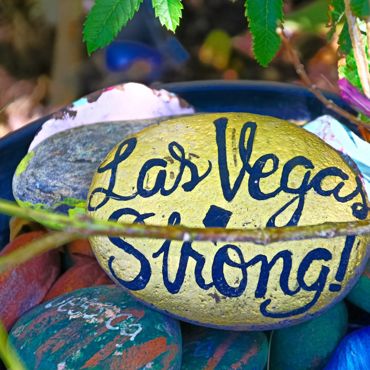 THE LAS VEGAS COMMUNITY HEALING GARDEN 2022 What to Know BEFORE You Go