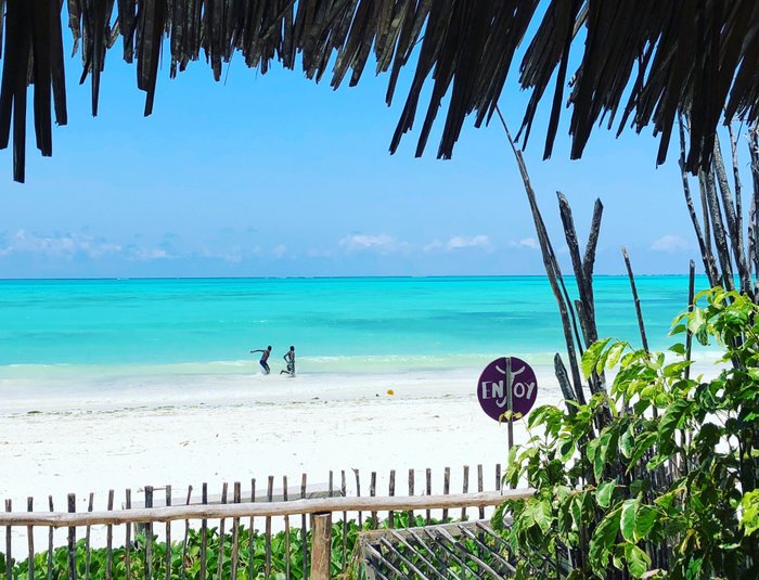 Zanzistar Lodge Rooms: Pictures & Reviews - Tripadvisor