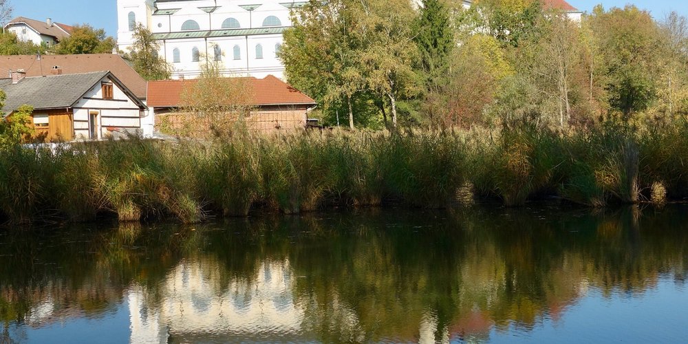 60+ Puchheimer Teiche, Teichen der puchheimer au schon wandermuscheln