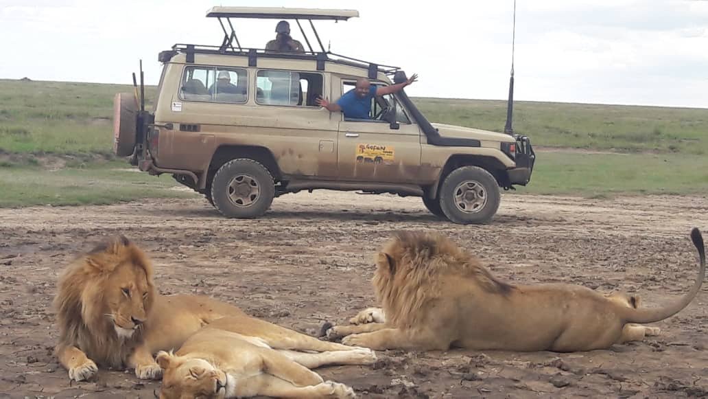 GOFAN SAFARIS Nairobi All You Need to Know BEFORE You Go