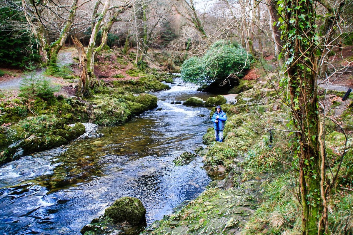 Tollymore Forest Park - All You Need to Know BEFORE You Go (2024)