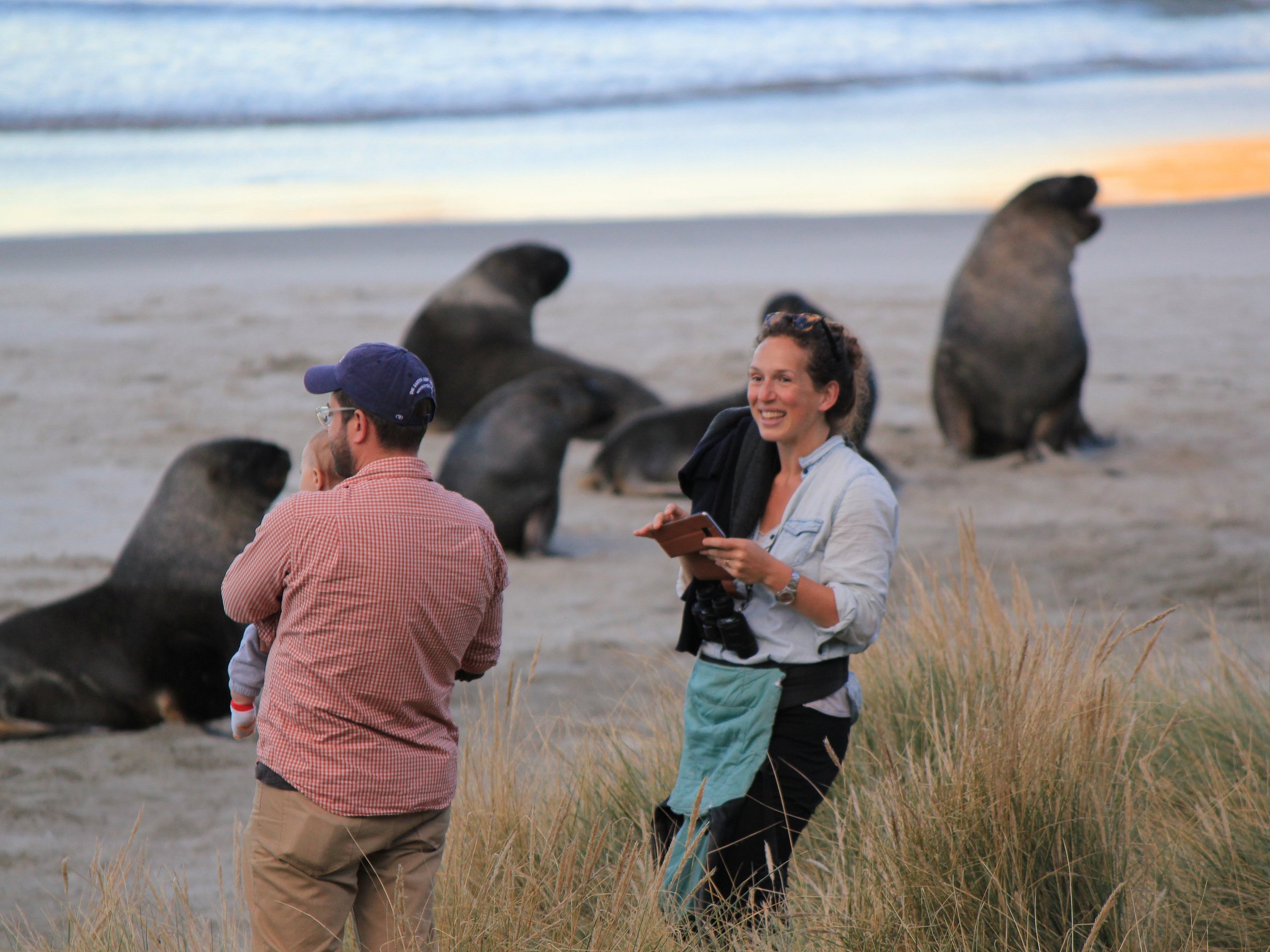 wildlife tours dunedin