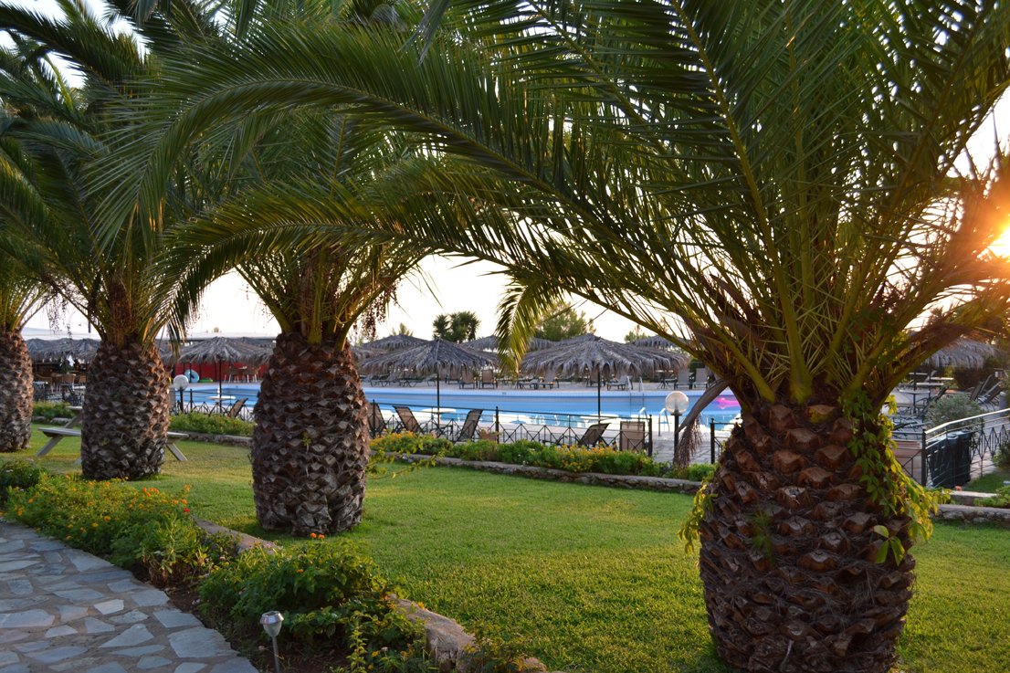 Hotel photo 8 of San Lorenzo Village.