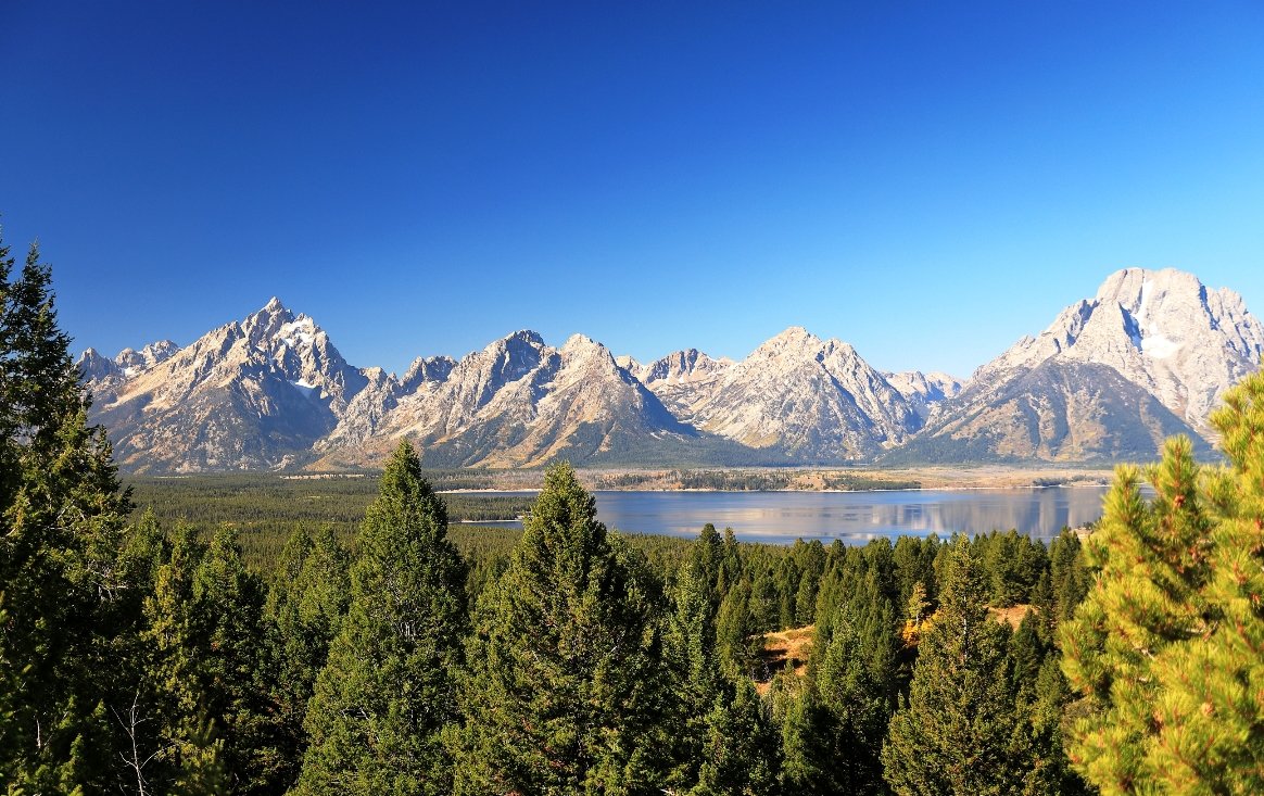 SIGNAL MOUNTAIN SUMMIT ROAD (Parc National De Grand Teton): Ce Qu'il ...