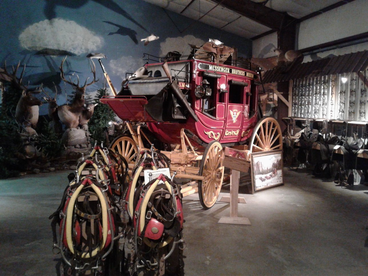 CHEYENNE FRONTIER DAYS OLD WEST MUSEUM - 2023 What To Know BEFORE You Go