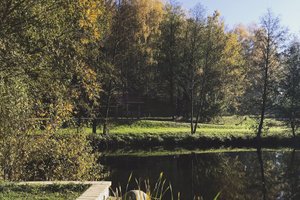 Номера и люксы