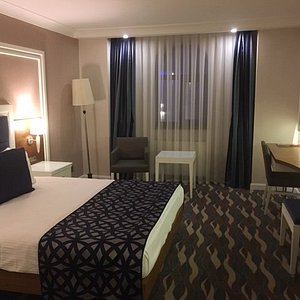Fully Renovated Room