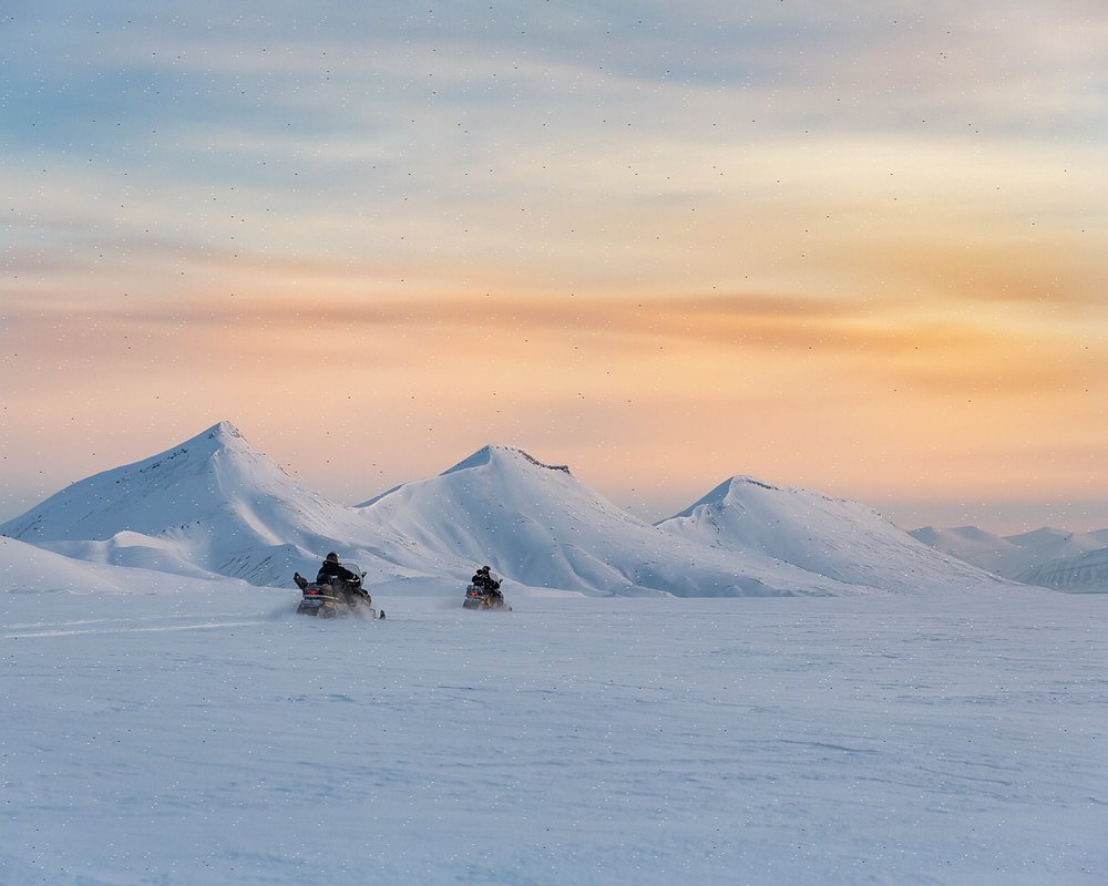 sightseeing svalbard tours