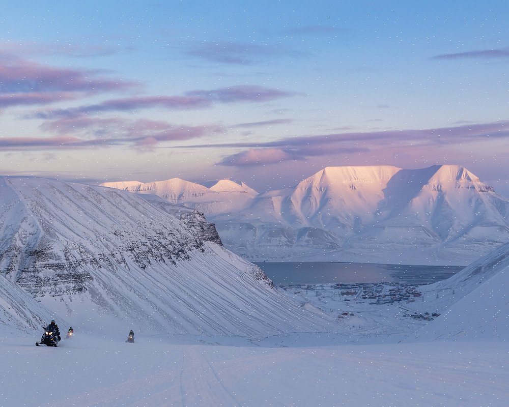 sightseeing svalbard tours