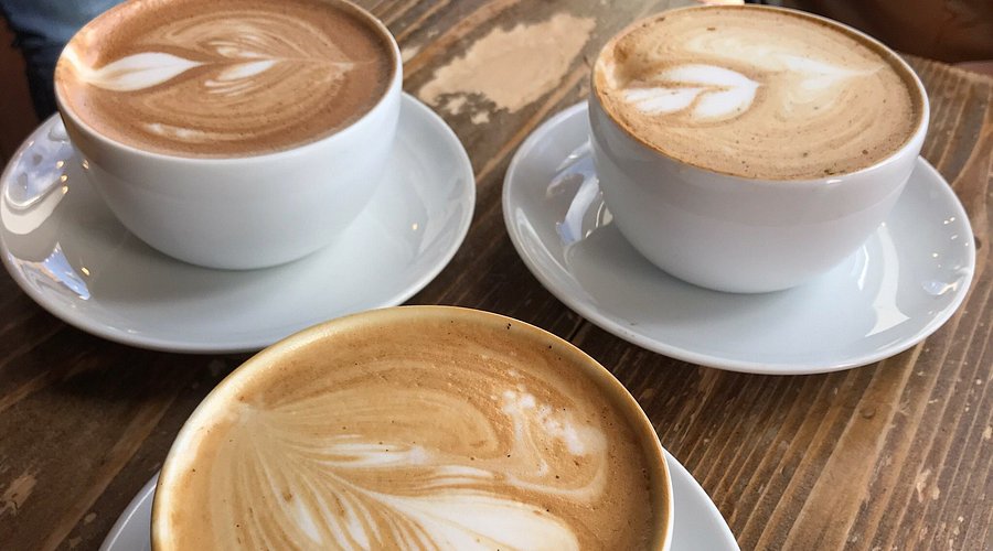 Twenty Below Coffee Co