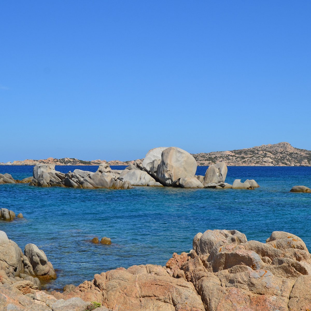 SPIAGGIA TESTA DI POLPO Tutto quello che c'è da sapere (2025) SPIAGGIA TESTA DI POLPO Tutto quello che c'è da sapere (2025)