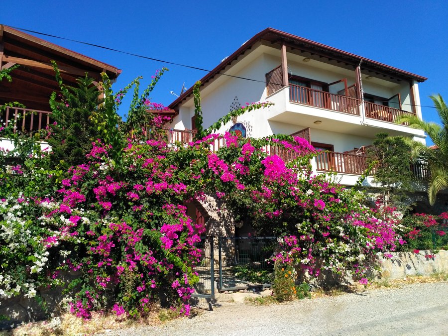 datca suites datca turkiye daire yorumlari ve fiyat karsilastirmasi tripadvisor