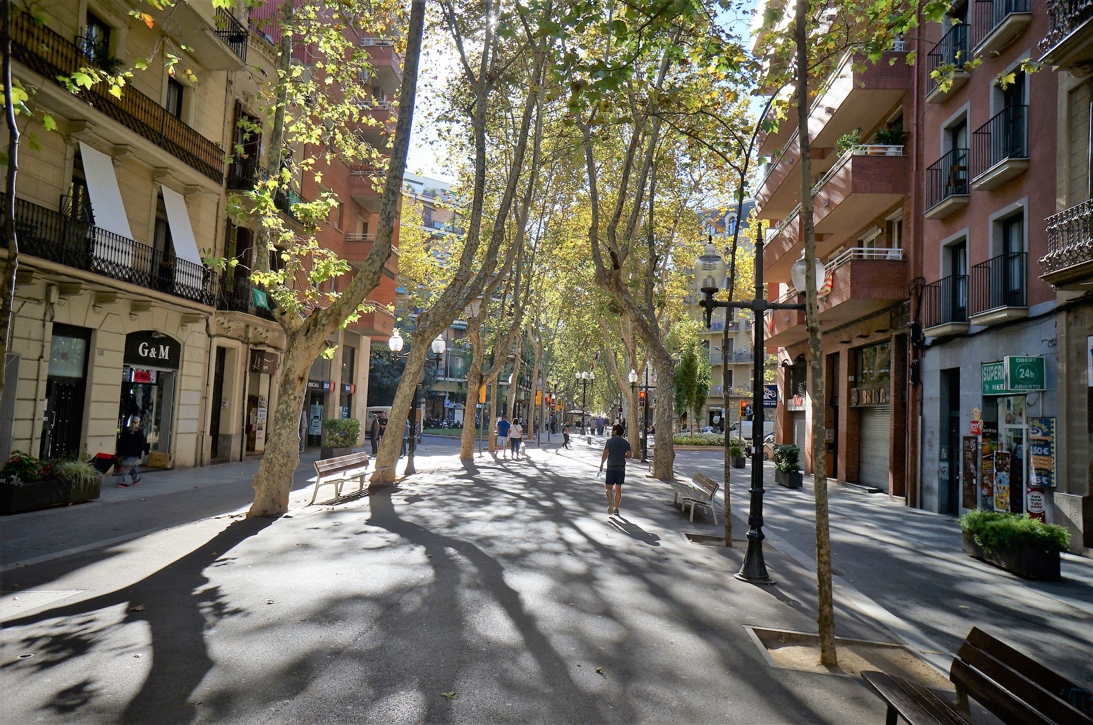 Drim rambla poblenou on sale