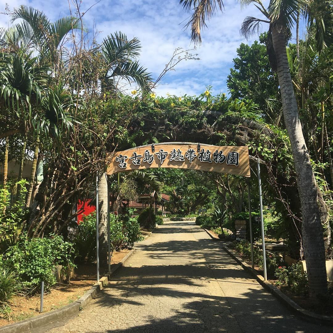 21年 宮古島市熱帯植物園 行く前に 見どころをチェック トリップアドバイザー