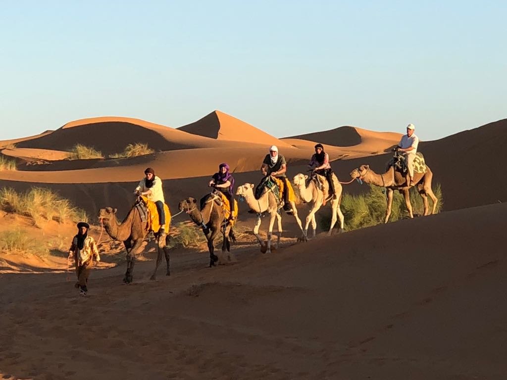 ROAMING CAMELS MOROCCO - All You Need to Know BEFORE You Go (with