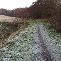 SIDING LANE PATHWAYS