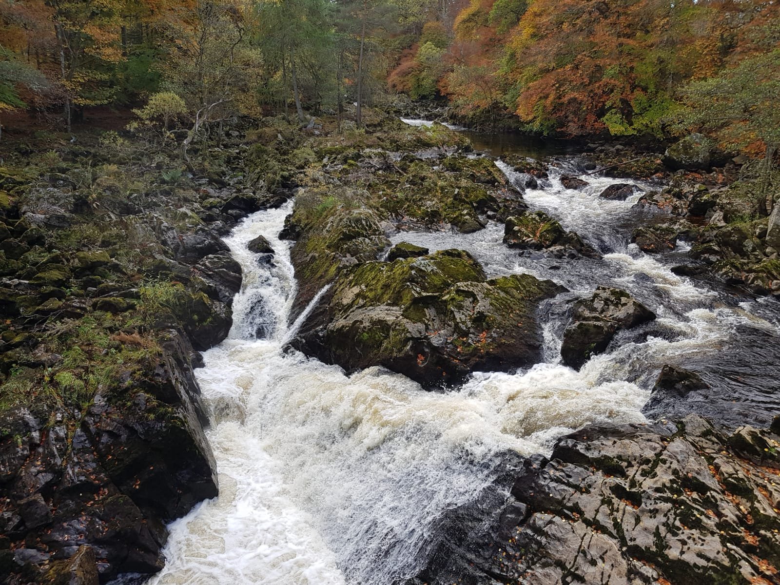 FALLS OF FEUGH All You Need to Know BEFORE You Go (with Photos)