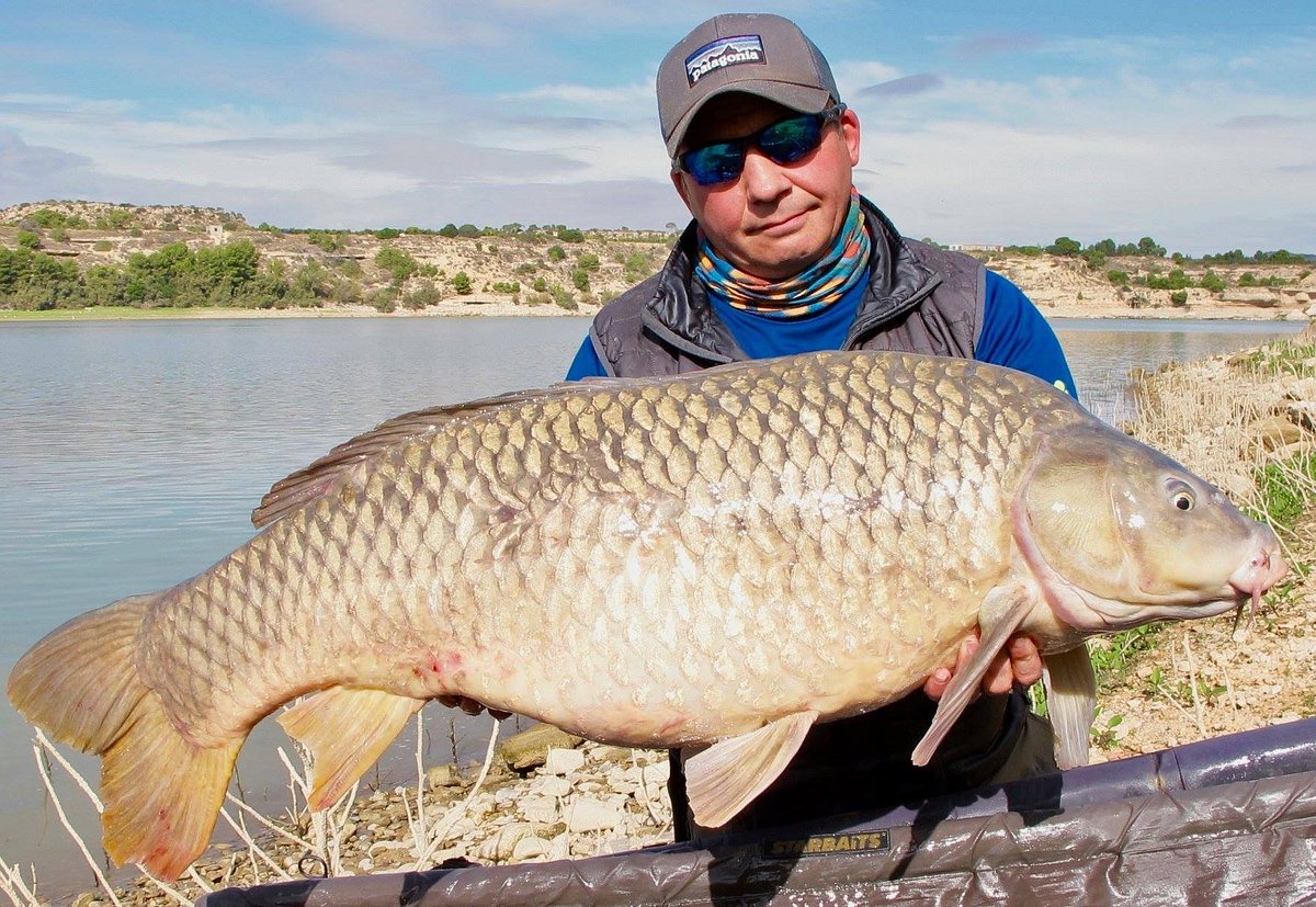 PRO PREDATOR FISHING ADVENTURES (Caspe) - All You Need to Know