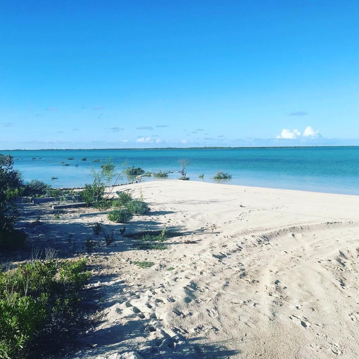 Sailrock South Caicos Diving: Pictures & Reviews - Tripadvisor