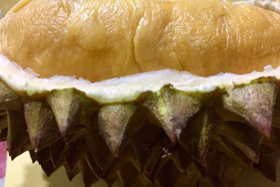 Papar Durian Orchard image