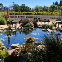 Salt and Stone Restaurant