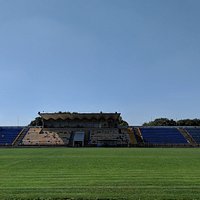 Авангард поле