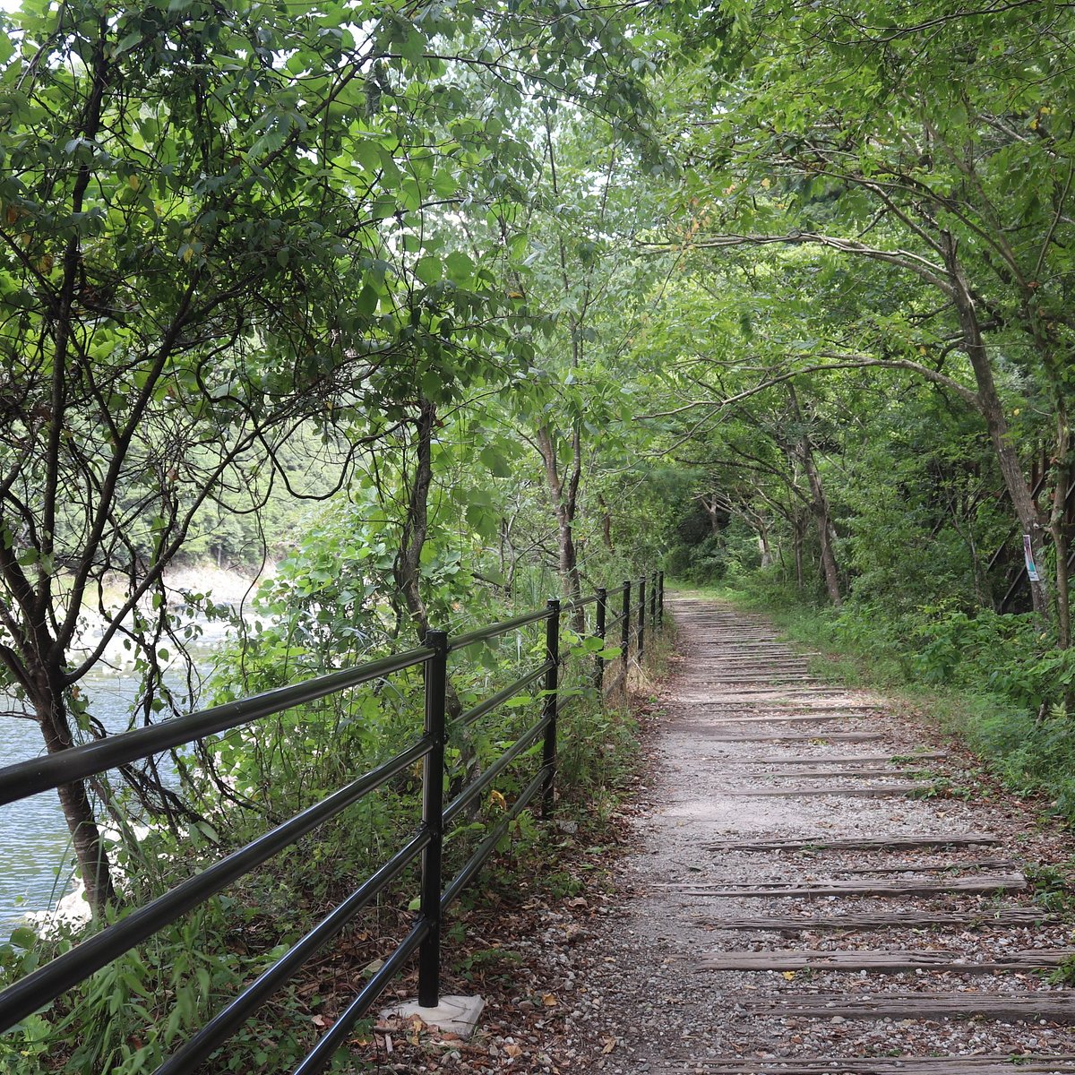 Old Fukuchiyama Railway Trail Hiking Course Nishinomiya Ce Qu Il Faut Savoir