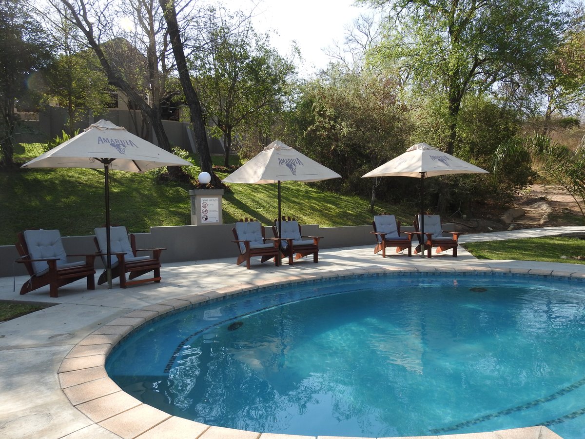 Shametu River Lodge Pool: Pictures & Reviews - Tripadvisor