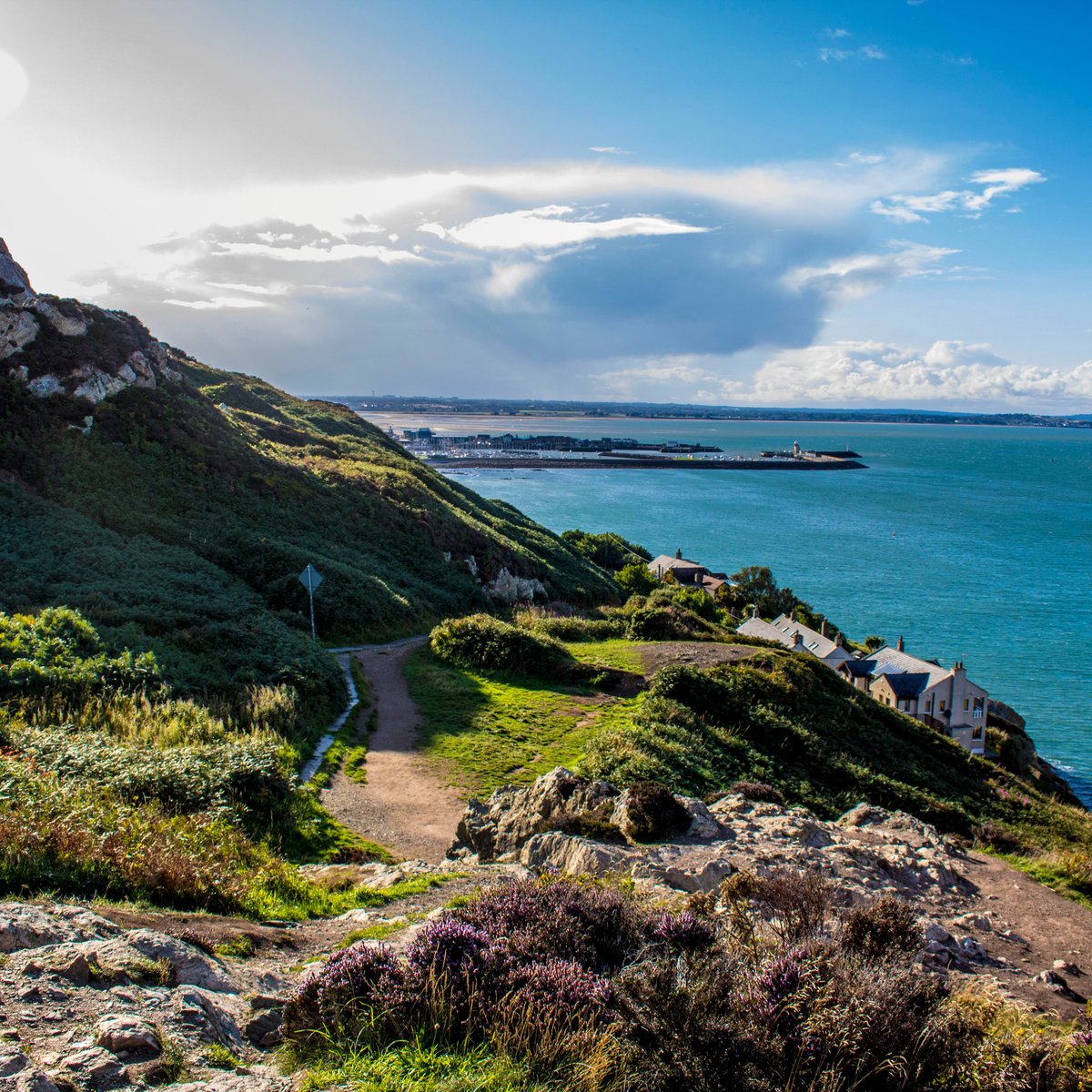 howth-head-updated-january-2023-top-tips-before-you-go-with-photos