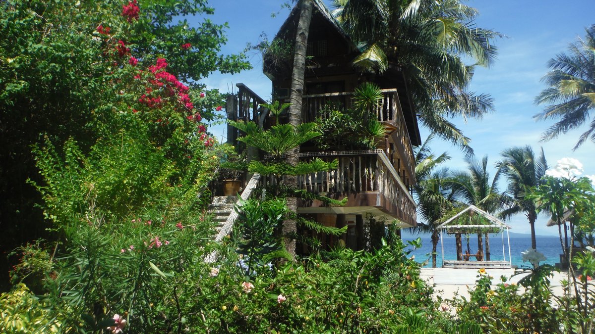 Bamboo House Beach Lodge & Restaurant Snorkeling: Pictures & Reviews 