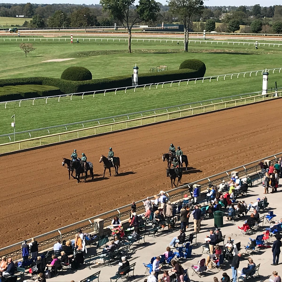 Keeneland (Lexington) - All You Need to Know BEFORE You Go
