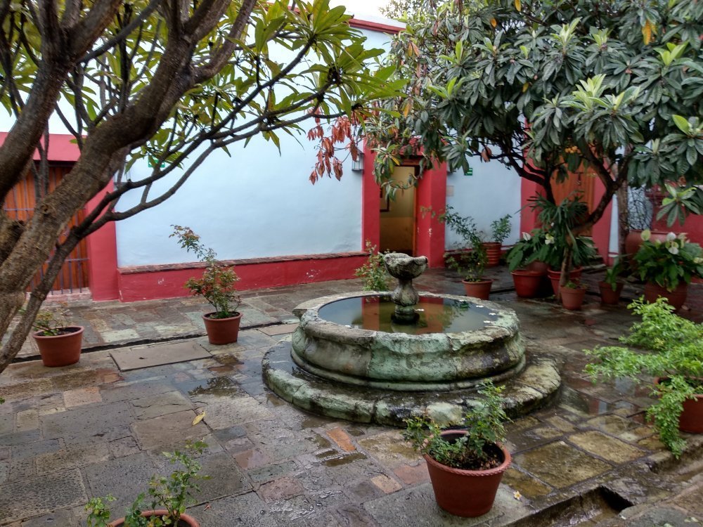 Bienvenidos: Mi Casa Es Su Casa — Zocalo Casa + Jardin