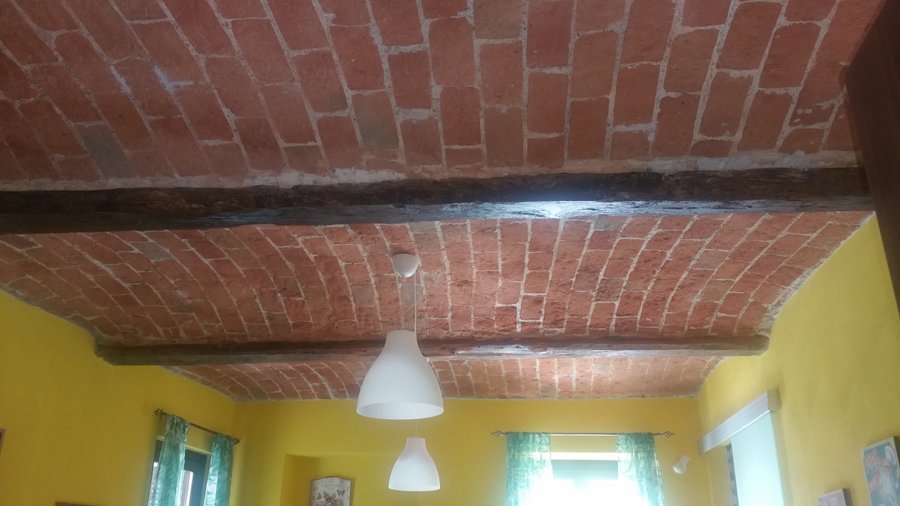 Soffitti con volte a vista